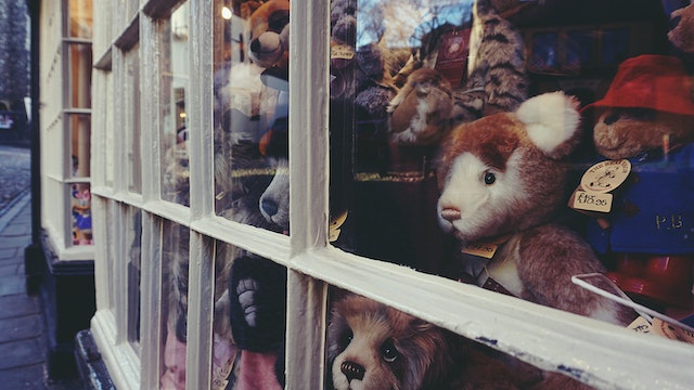 The Rise of the Toy Shop Owner: Why Now is the Time to Buy a Toy Shop Business