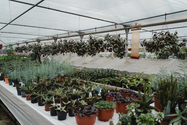 Thinking of buying a garden centre? Here’s why it could be the best option for you!