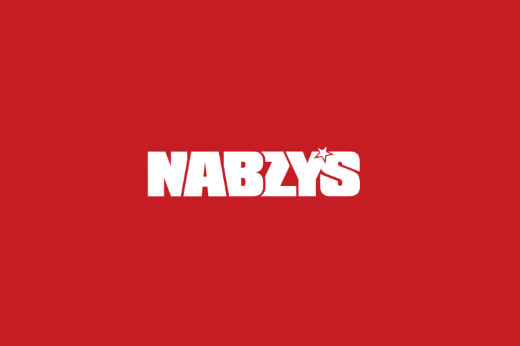 How Much Does a Nabzy’s Chicken & Pizza Franchise Cost In The UK?